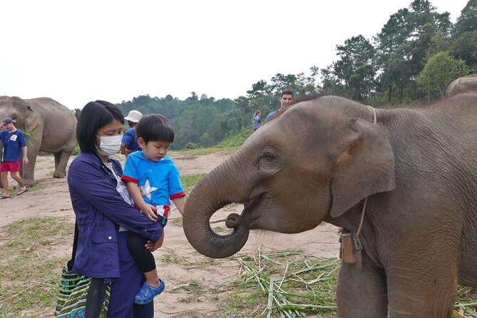 3-in-1: Doi Inthanon Tour, Elephant Sanctuary, and Trekking Trail - Lunch during the day: when you get it and what to expect