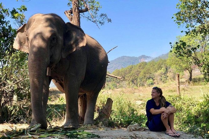 3-in-1: Doi Inthanon Tour, Elephant Sanctuary, and Trekking Trail - Ban Mae Klang Luang hill tribe village: coffee and conversation