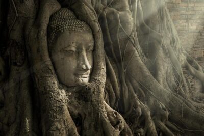 Ayutthaya Temples and River Cruise from Bangkok - Wat Mahathat: the Buddha head in tree roots
