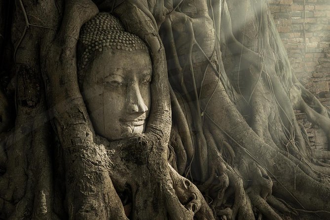 Ayutthaya Temples and River Cruise from Bangkok - Wat Mahathat: the Buddha head in tree roots