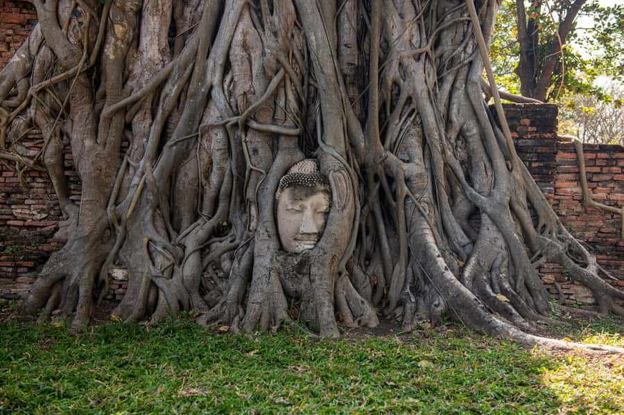 Bangkok: Ayutthaya, Railway & Floating Markets Full-Day Tour - Who this tour is best for (and who should skip it)