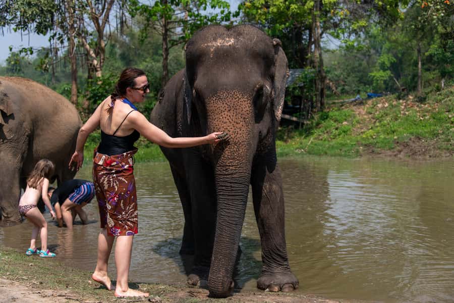 Bangkok: Elephant Sanctuary & Erawan Waterfall Tour - Lunch at the Sanctuary: Real Thai Food, Real Break Time