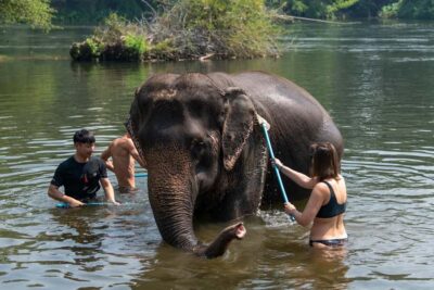 Bangkok: Elephant Sanctuary & Erawan Waterfall Tour - ElephantsWorld Sanctuary: Food Prep, Mud Baths, and Mahout Care