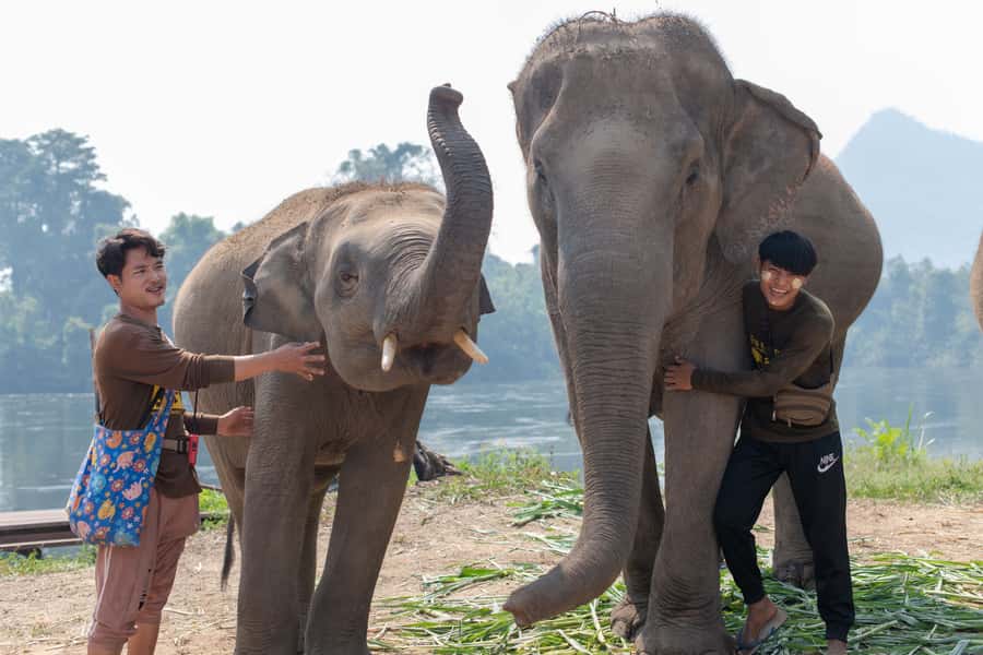 Bangkok: Elephant Sanctuary & Erawan Waterfall Tour - Erawan Waterfall Swims: Life Jackets, Emerald Pools, and Fish