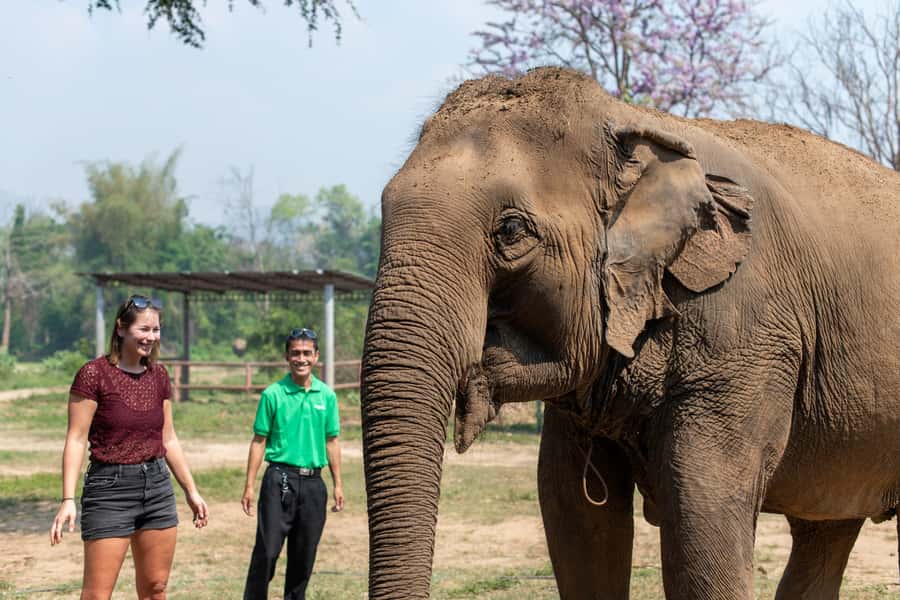 Bangkok: Elephant Sanctuary & Erawan Waterfall Tour - Sustainable Touches and GSTC-Certified Details