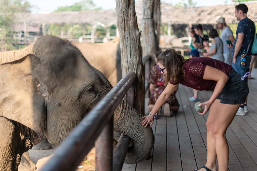 Bangkok: Elephant Sanctuary & Erawan Waterfall Tour - Price and Value: Is $181 Worth a 12-Hour Day?