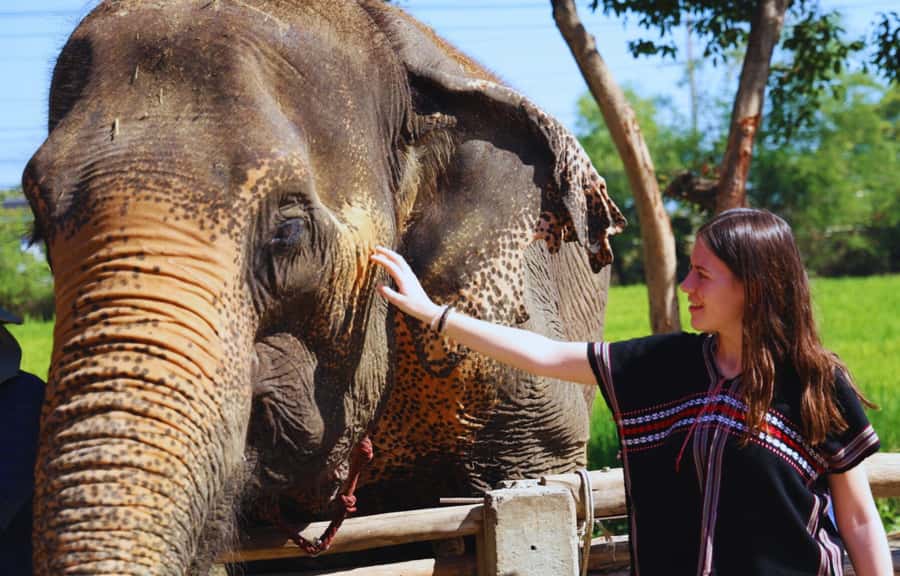 Bangkok Highlights: Ethical Elephant Care and Buffet Lunch - Mud Spa, Bathing, and Pool Time (Yes, You’ll Get Wet)