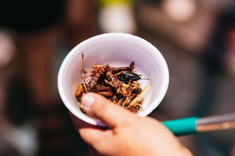 Bangkok: Michelin Guide Street Food Tour by Tuk Tuk - Nai Ek rolled noodles: mini-cigars you can actually taste