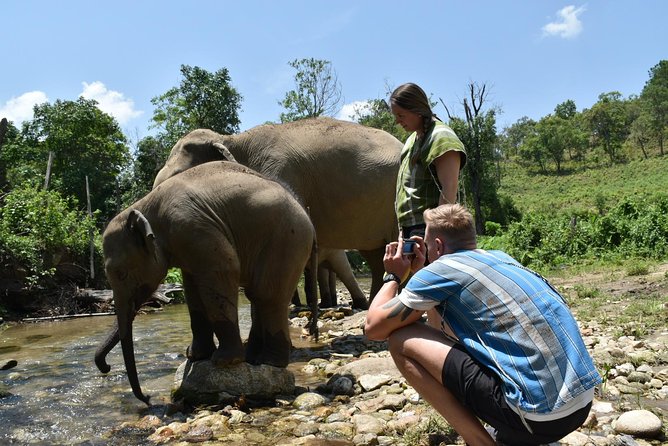 Care Pride Elephants: Full-Day Tour Experience - Who should book Elephant Pride Sanctuary in Chiang Mai