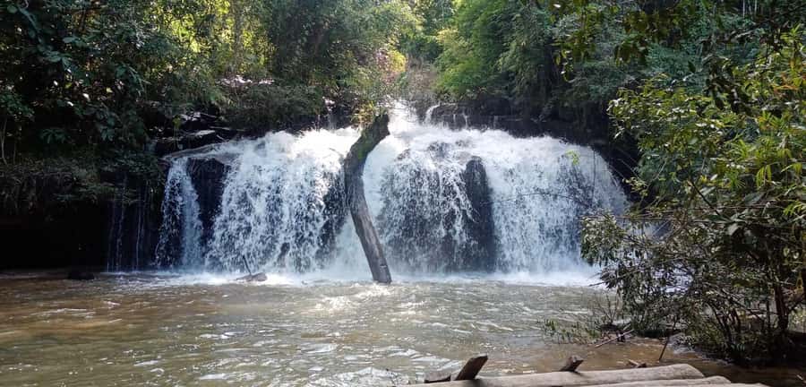Chiang Mai: 2-Day Jungle Trek with Elephant Farm & Raft Ride - Bamboo Rafting Again? Not This Time. It’s the Swim-Day Memory
