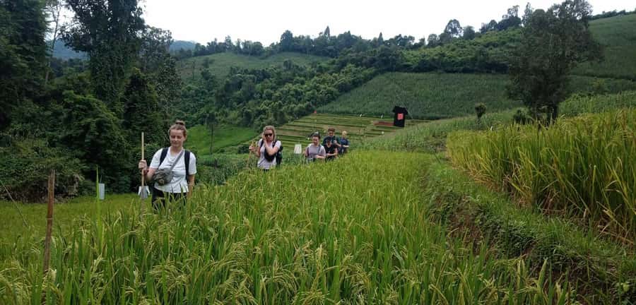 Chiang Mai: 2-Day Jungle Trek with Elephant Farm & Raft Ride - Why This 2-Day Chiang Mai Trek Feels Like a Real Mountain Escape