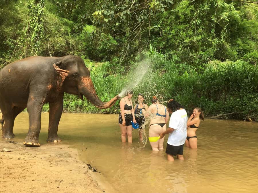 Chiang Mai: 2-Day Jungle Trek with Elephant Farm & Raft Ride - Meeting at Baan Meesuk and the Morning Start Time