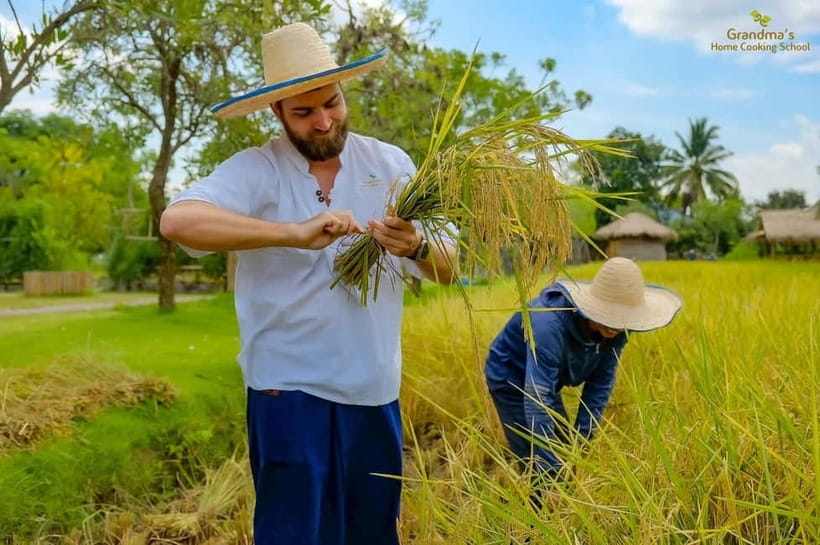 Chiang Mai: Authentic Cooking Class with Market & Farm Visit - Drinks, Water, and the Pace of the Day