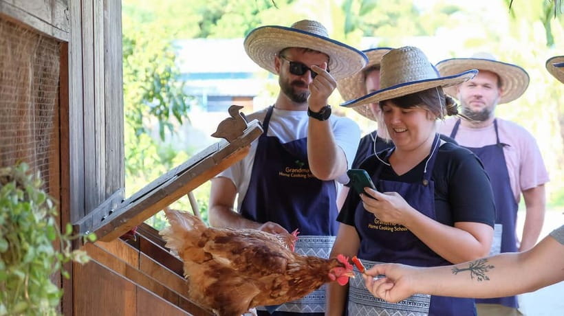Chiang Mai: Authentic Cooking Class with Market & Farm Visit - Grandma’s Organic Farm: Chickens, Mushrooms, Herbs, and Eggs
