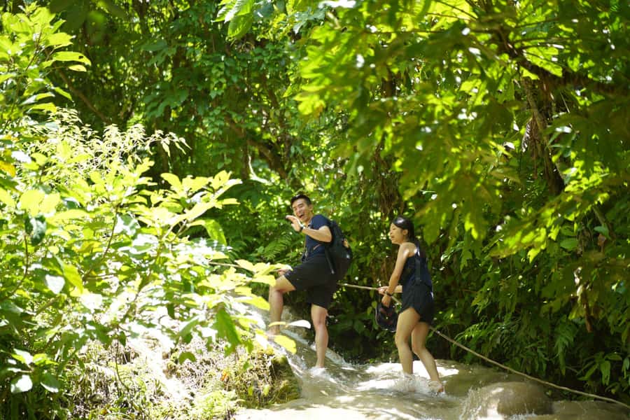 Chiang Mai: Bua Thong Sticky Waterfall and Huge Cave Tour - Key highlights at a glance