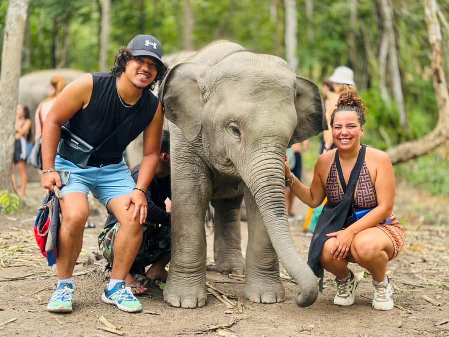 Chiang Mai: Doi Inthanon and Elephant Sanctuary Tour - Key points to know before you go
