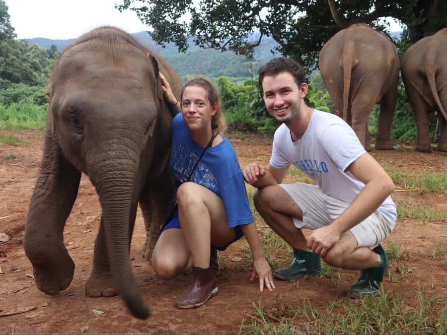Chiang Mai: Doi Inthanon and Elephant Sanctuary Tour - Twin Royal Pagodas and the terraced viewpoints