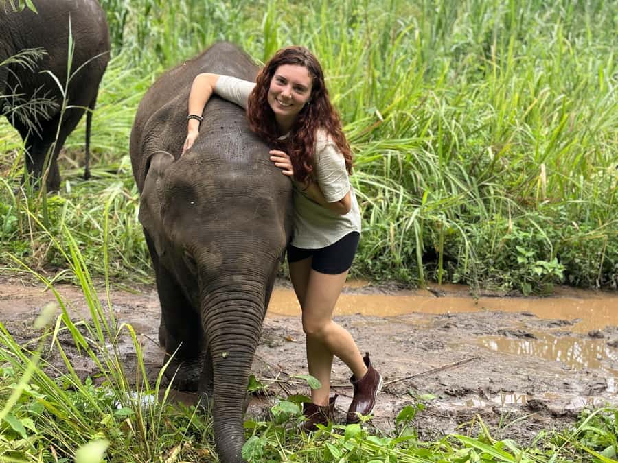 Chiang Mai: Doi Inthanon and Elephant Sanctuary Tour - The fern forest trail and summit feel at Doi Inthanon