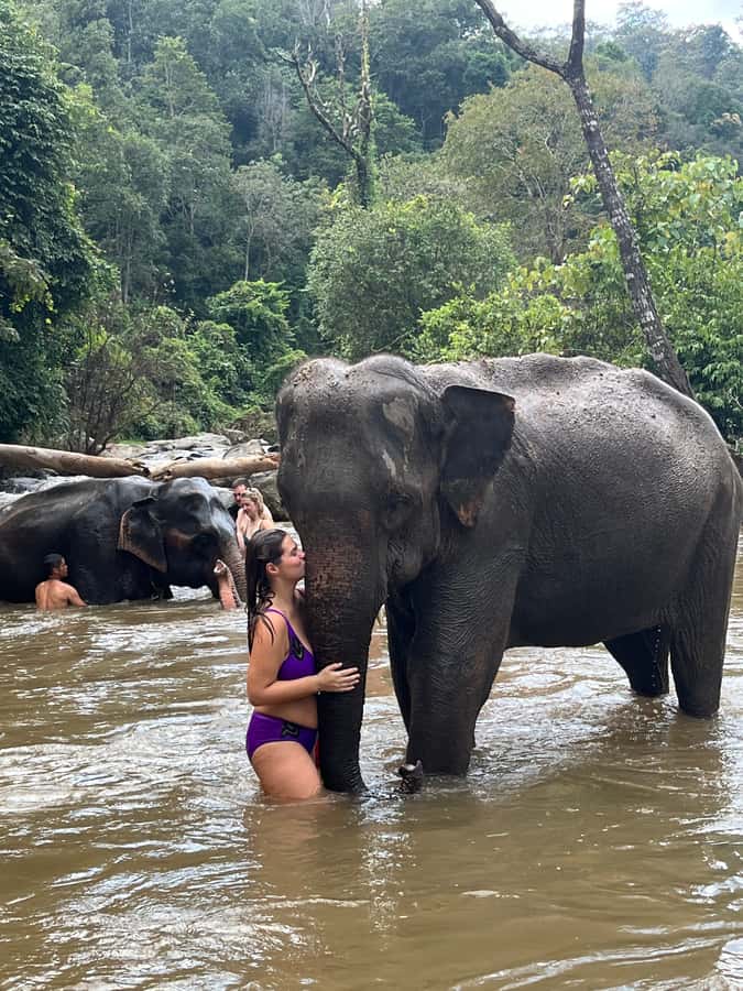Chiang Mai: Doi Inthanon and Elephant Sanctuary Tour - Lunch break: why the included meal matters