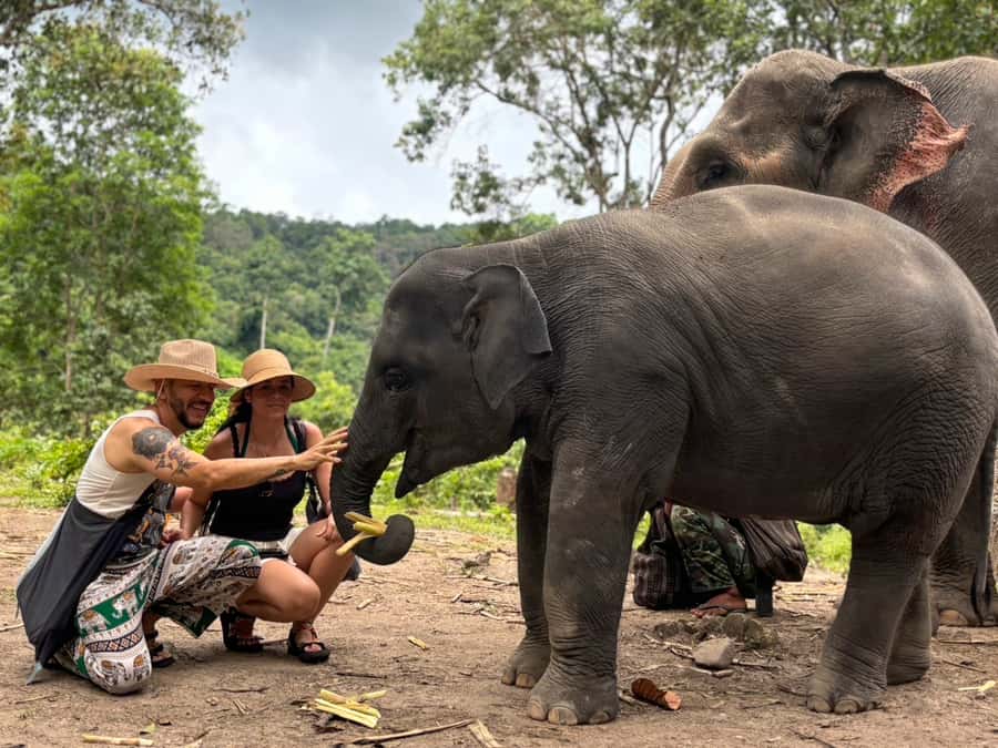 Chiang Mai: Doi Inthanon and Elephant Sanctuary Tour - The Elephant Village: Karen shirts, feeding rules, and elephant-first learning