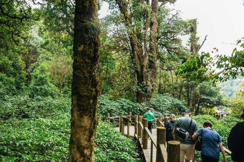 Chiang Mai: Doi Inthanon National Park Eco-Friendly Tour - A Mountain Day That Changes the Pace From Chiang Mai