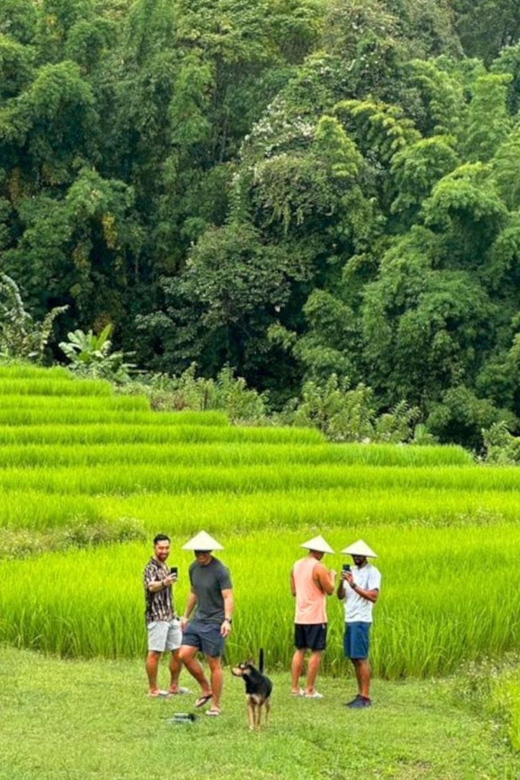 Chiang Mai: Doi Inthanon Park and Pha Dok Siew Trail Trek - Why This Doi Inthanon Day Trip Works So Well