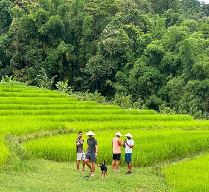 Chiang Mai: Doi Inthanon Park and Pha Dok Siew Trail Trek - Karen Hill Tribe Terrace Fields: Cultural Contact Without a Museum Vibe