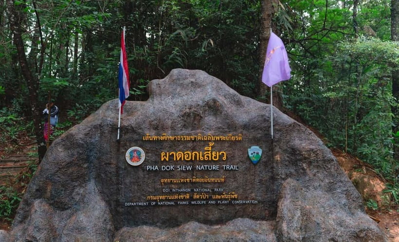 Chiang Mai: Doi Inthanon Trip with Pha Dok Siew Guided Trek - Key Highlights You’ll Feel Immediately
