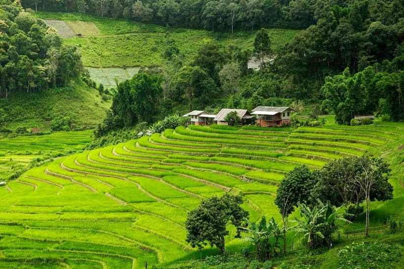 Chiang Mai: Doi Inthanon Trip with Pha Dok Siew Guided Trek - Early Pickup From Chiang Mai and the Van Ride Rhythm
