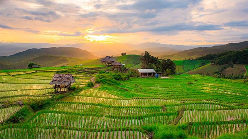 Chiang Mai: Doi Inthanon Trip with Pha Dok Siew Guided Trek - Lunch in the Jungle and Why It’s Timed for Energy