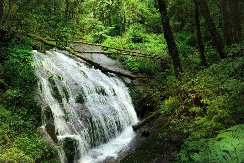 Chiang Mai: Doi Inthanon Trip with Pha Dok Siew Guided Trek - What to Bring (and What Can Derail Your Day)