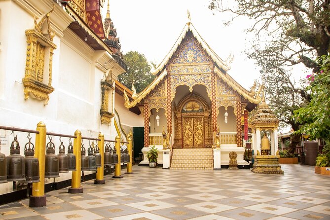 Chiang Mai - Doi Suthep Temple & Wat Pha Lat Hike - What to watch out for on the day