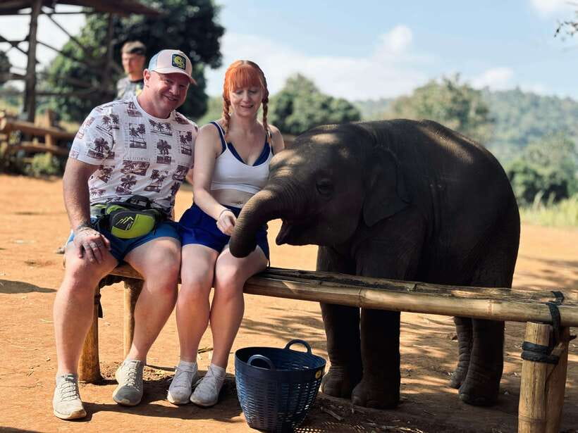 Chiang Mai: Elephant Sanctuary Feeding Program Half-Day Tour - Key things to know before you go