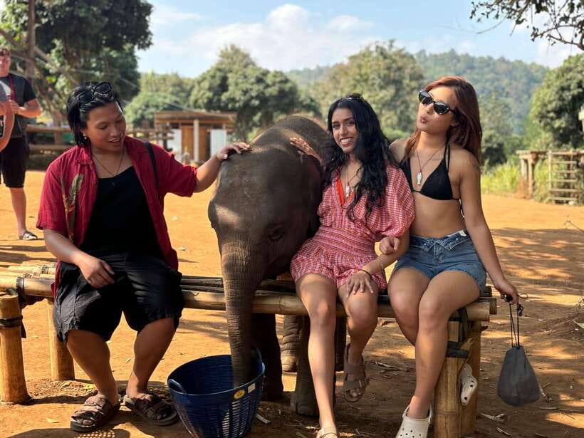 Chiang Mai: Elephant Sanctuary Feeding Program Half-Day Tour - The drive south of Mae Wang: why the journey matters