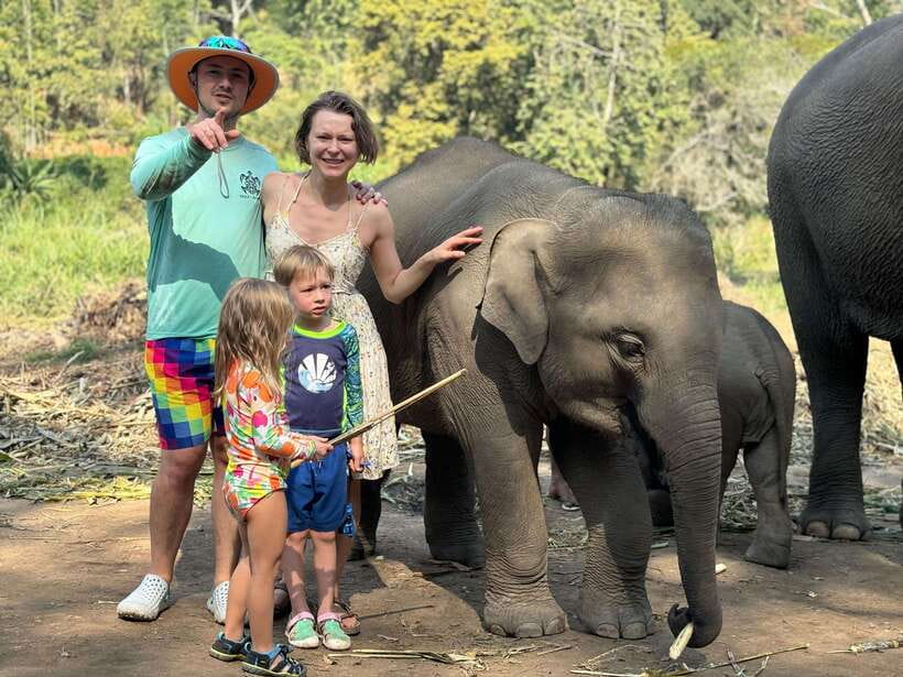 Chiang Mai: Elephant Sanctuary Feeding Program Half-Day Tour - Who this half-day elephant sanctuary tour suits best