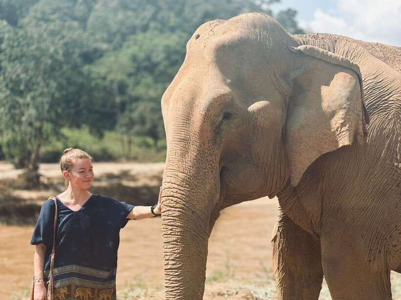 Chiang Mai: Elephant Sanctuary, Long Neck & Sticky Waterfall - Key Highlights You Should Know