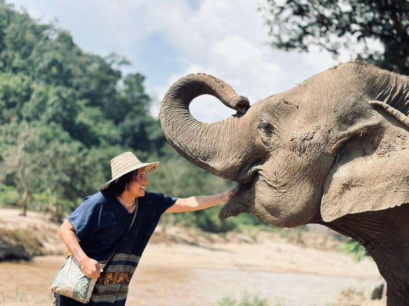 Chiang Mai: Elephant Sanctuary, Long Neck & Sticky Waterfall - How This Chiang Mai Day Tour Really Works