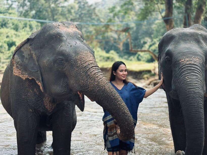 Chiang Mai: Elephant Sanctuary, Long Neck & Sticky Waterfall - What You Learn While You Feed and Walk