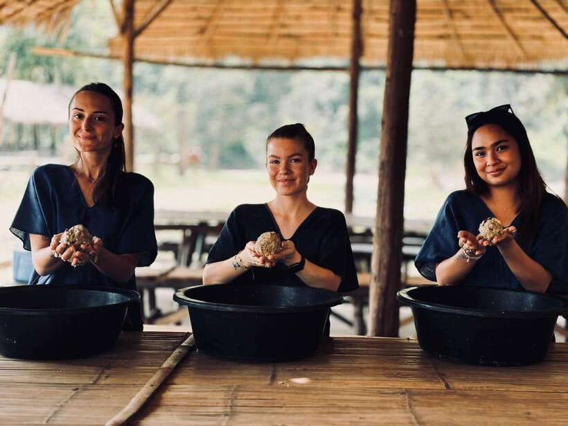 Chiang Mai: Elephant Sanctuary, Long Neck & Sticky Waterfall - Guide and Transport: Why the Day Feels Smooth