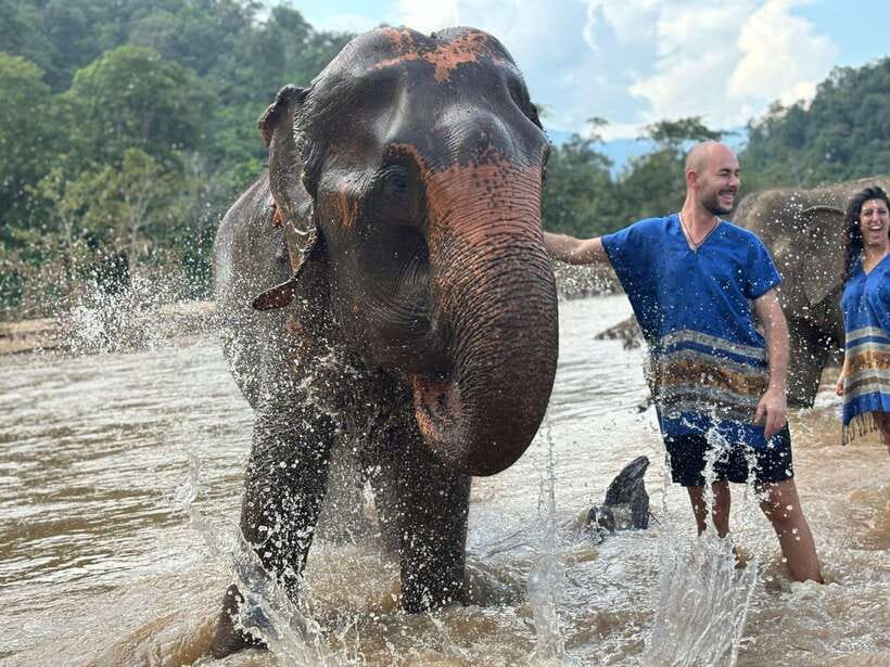 Chiang Mai: Elephant Sanctuary, Long Neck & Sticky Waterfall - Price and Value: Is $63 Worth It?