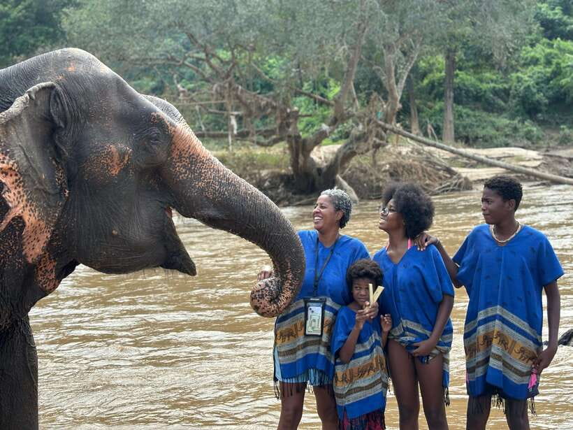 Chiang Mai: Elephant Sanctuary, Long Neck & Sticky Waterfall - Who This Tour Is Best For