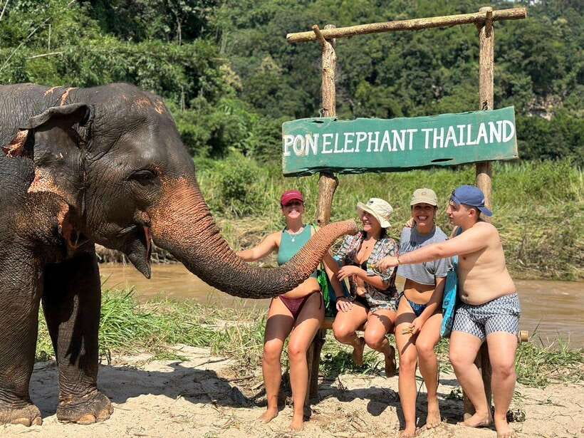 Chiang Mai: Elephant Sanctuary, Waterfall & Bamboo Rafting - Chiang Mai Elephant Sanctuary at Pon Elephant: What Ethical Actually Means Here