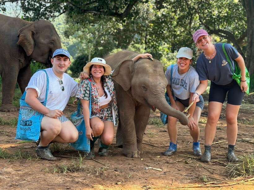 Chiang Mai: Elephant Sanctuary, Waterfall & Bamboo Rafting - Mae Wang Waterfalls: Swim First, Then Climb