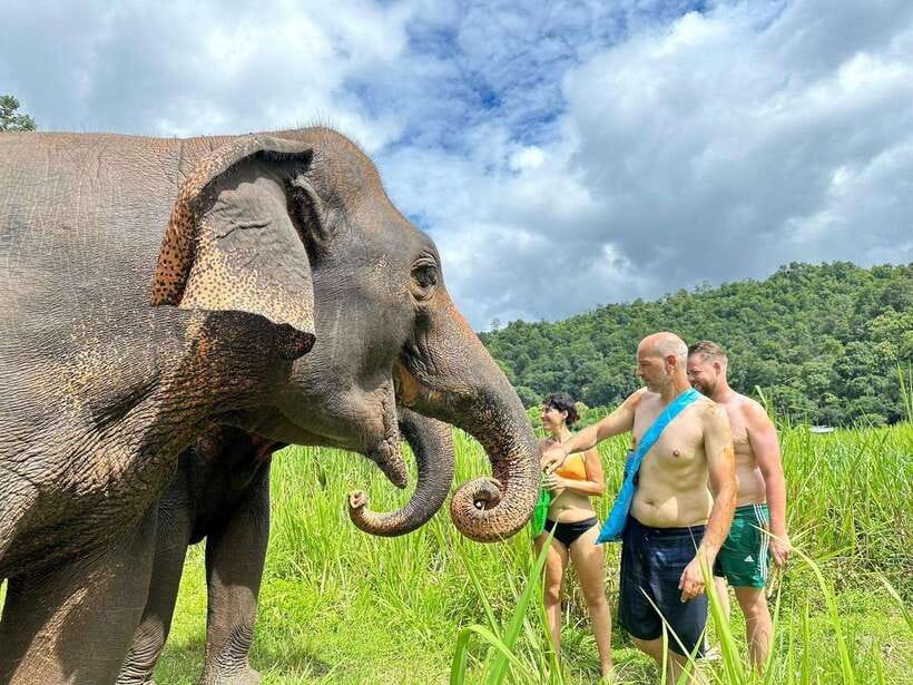 Chiang Mai: Elephant Sanctuary, Waterfall & Bamboo Rafting - Pon Elephant in the Jungle: Bananas, Foraging Walks, and Family Time
