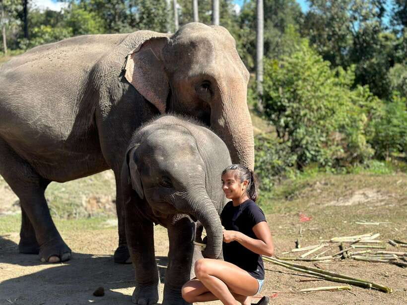 Chiang Mai: Elephant Sanctuary, Waterfall & Bamboo Rafting - Washing and Bathing in the River Pools With Elephants