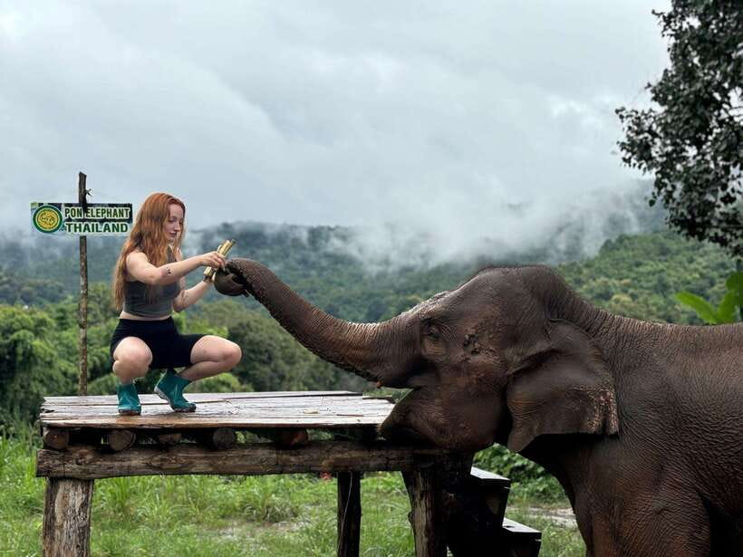 Chiang Mai: Elephant Sanctuary, Waterfall & Bamboo Rafting - Who This Tour Is Best For (and Who Might Hesitate)