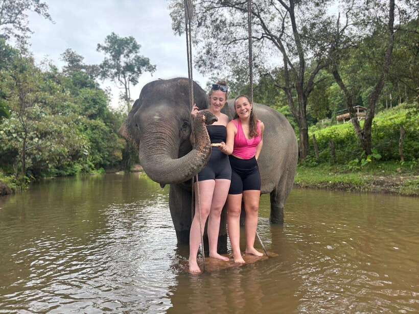 Chiang Mai: Elephant Sanctuary & Waterfall Group Tour - Key highlights that make this tour worth your time