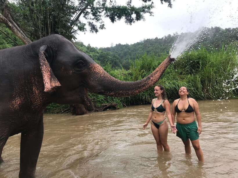 Chiang Mai: Elephant Sanctuary & Waterfall Group Tour - Ethics and common-sense questions to ask before you book