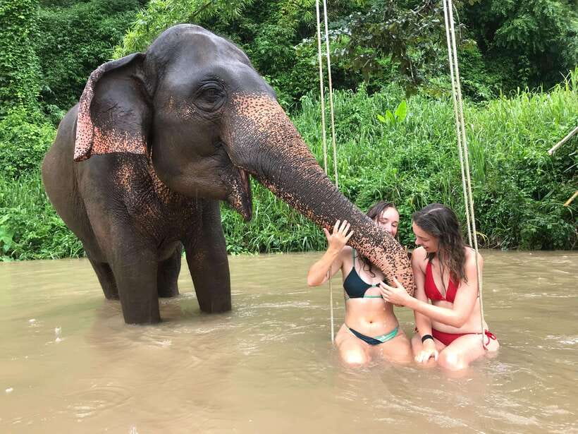 Chiang Mai: Elephant Sanctuary & Waterfall Group Tour - Why Pon Elephant + Mae Wang is a smart Chiang Mai day