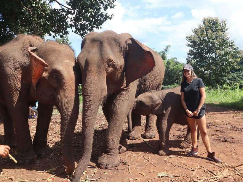 Chiang Mai: Elephant Sanctuary & Waterfall Group Tour - Pon Elephant Thailand: what the sanctuary time is really about